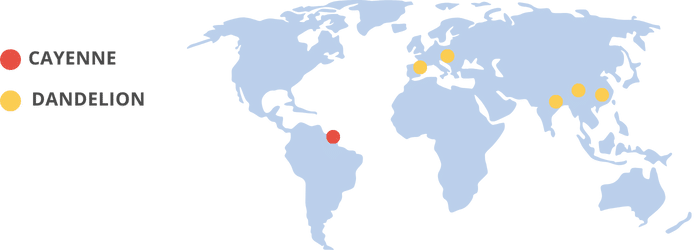 mango dandelion map