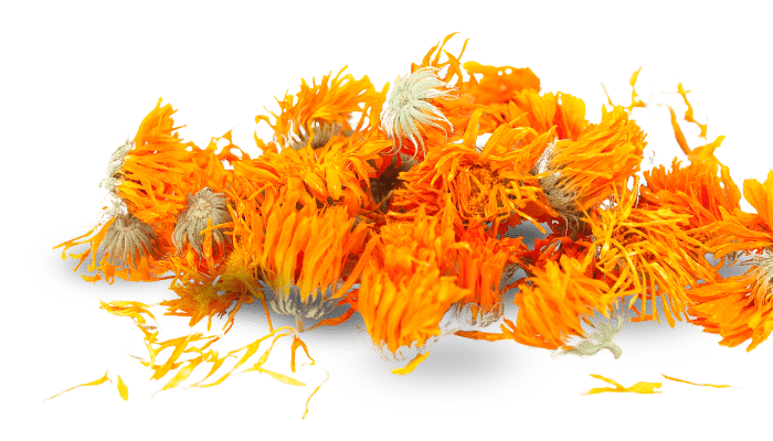 fresh dried marigold flower petals