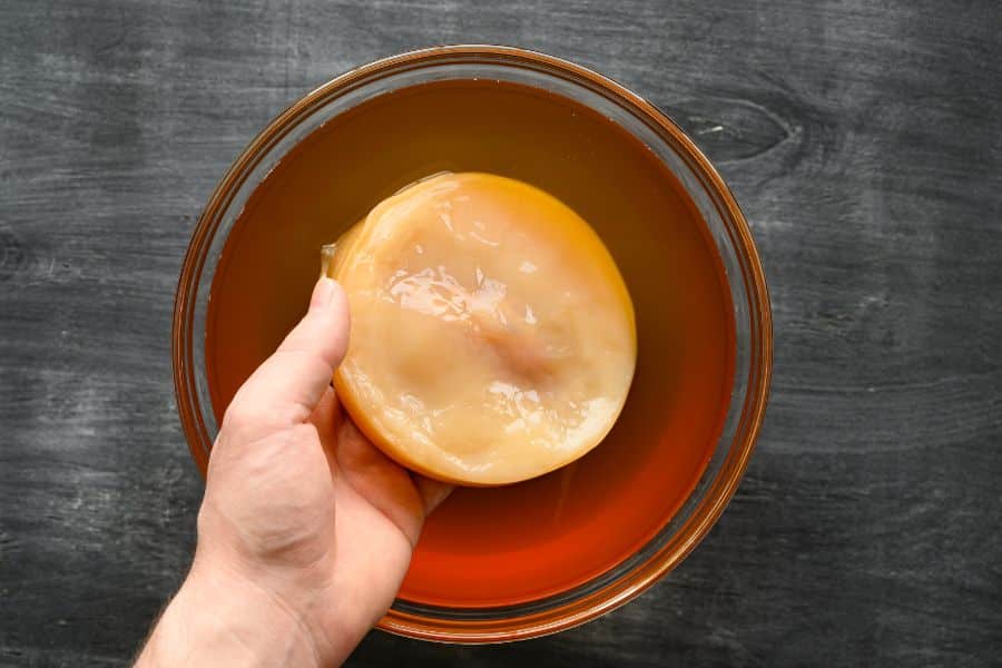 Aneta holding the SCOBY